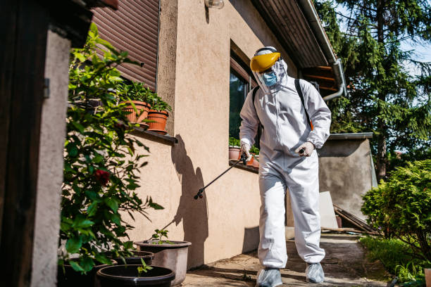 Best Best Pest Control Companies  in Bloomington, CA