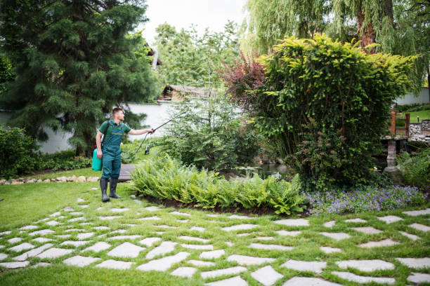 Best Exterminator Services  in Bloomington, CA