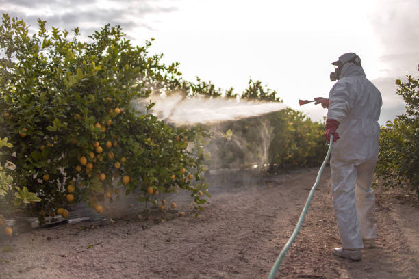 Best Bird Control  in Bloomington, CA