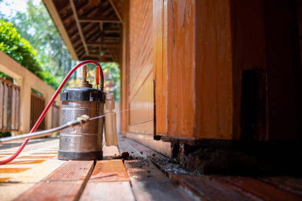 Best Pest Removal Services  in Bloomington, CA