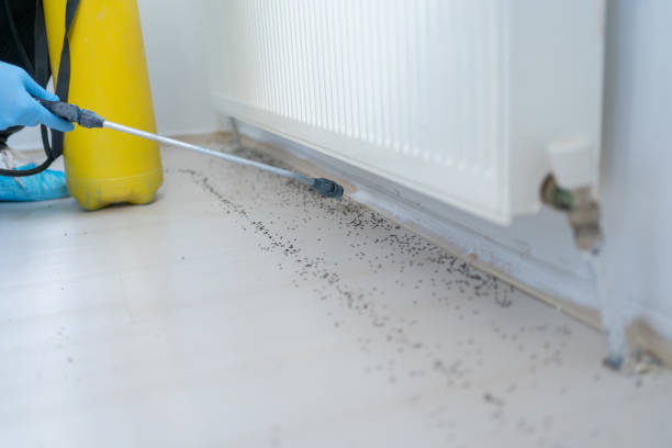 Best Pest Prevention Services  in Bloomington, CA
