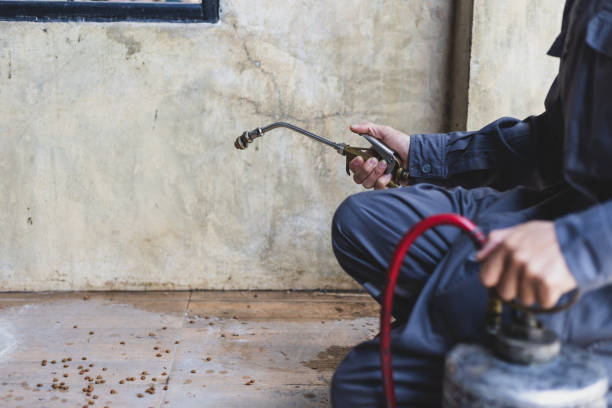Best Wasp Removal Services  in Bloomington, CA